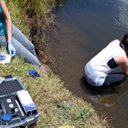 El hallazgo comenzó cuando una médica de Colonia Aurora observó que varios pacientes presentaban urticarias y manchas inusuales después de bañarse en el arroyo El Saltito.