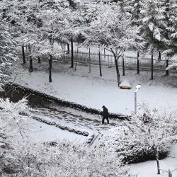 Un hombre camina por un parque cubierto de nieve después de una nevada en Goyang, Corea del Sur. | Foto:Jung Yeon-je / AFP