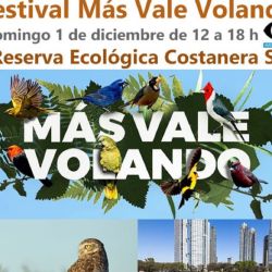 Es la novena edición de este festival.