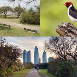 Es una cita de honor para los amantes de las aves y la Naturaleza.