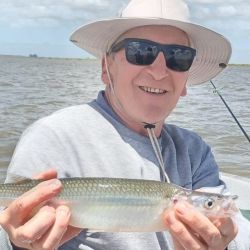 2911_mapa_pique_pesca