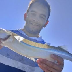 2911_mapa_pique_pesca