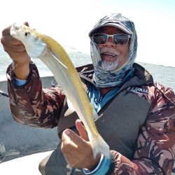 2911_mapa_pique_pesca