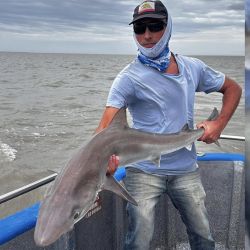 2911_mapa_pique_pesca