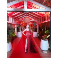Johanna Pass: La Elegancia Hecha Diseño en la Gala de Caras 23 años