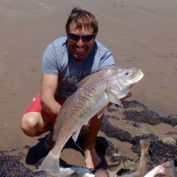 Las corvinas dijeron presente en la previa a uno de los grandes torneos que tendrá este balneario en el verano.