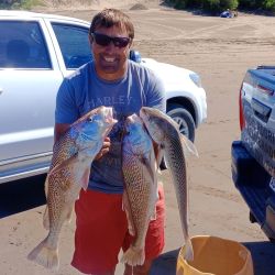 Las corvinas dijeron presente en la previa a uno de los grandes torneos que tendrá este balneario en el verano.