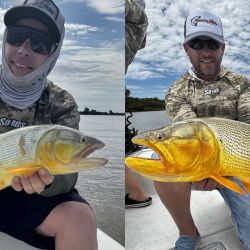 Con artificiales de sub superficie se obtuvieron los mejores resultados pescando en la modalidad baitcast.