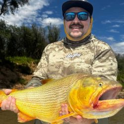 Con artificiales de sub superficie se obtuvieron los mejores resultados pescando en la modalidad baitcast.