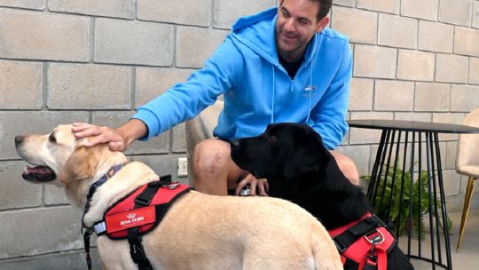 Torito y Pinky, los perros que acompañaron a del Potro en su último partido