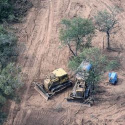 Los desmontes ilegales siguen arrasando con los bosques nativos.