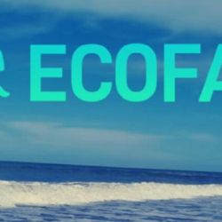 El programa busca generar conocimiento científico de calidad de manera participativa sobre la salud ambiental de la zona costera argentina.