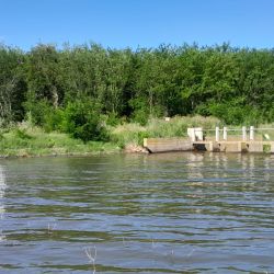 Desde hace varias temporadas la laguna está fuera del clásico circuito de los pescadores, remitiéndose los resultados a bagres, carpas y dientudos.