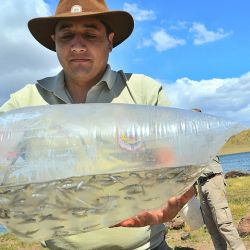 El Centro depende de la dirección provincial de Fauna, Áreas Naturales Protegidas y CEAN del ministerio de Turismo.