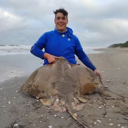 Multiplicidad de especies en una zona norte de San Clemente que siempre rinde de costa como embarcados.