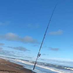 Multiplicidad de especies en una zona norte de San Clemente que siempre rinde de costa como embarcados.