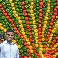 Un visitante se toma una fotografía frente a una instalación de pavo real hecha de vegetales en el Parque Cubbon en Bengaluru, India. | Foto:IDREES MOHAMMED / AFP