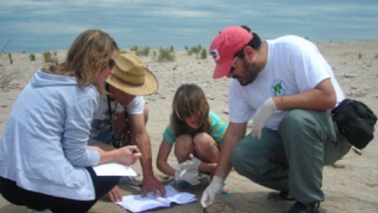 Incorporan voluntarios para monitorear la salud ambiental de las costas patagónicas