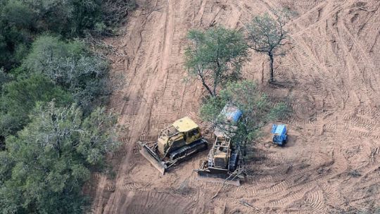 Los desmontes en el norte argentino ya superaron las 100.000 hectáreas en lo que va del año