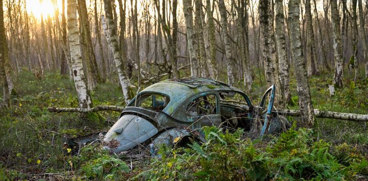 En la foto se ve un Volkswagen VW Beetle estacionado en un pantano cerca de Diepholz, en el norte de Alemania. En los pantanos del norte de Alemania, en las décadas de 1950 y 1960, muchos automóviles fueron estacionados y desechados por sus propietarios en sus propios terrenos.