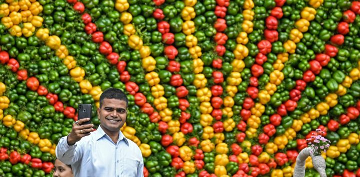 Un visitante se toma una fotografía frente a una instalación de pavo real hecha de vegetales en el Parque Cubbon en Bengaluru, India.