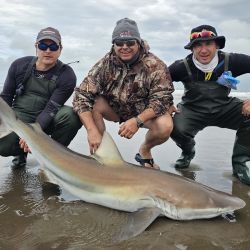 Tanto desde la costa como embarcados, diciembre es un mes óptimo para visitar el paraíso del pescador deportivo.