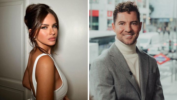 Aseguran que la China Suárez interrumpió el romance de David Bisbal con una famosa modelo