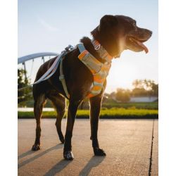 Ruffwear Argentina  | Foto:CEDOC