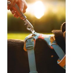 Ruffwear Argentina  | Foto:CEDOC