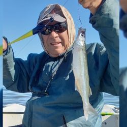 0612_mapa_pique_pesca