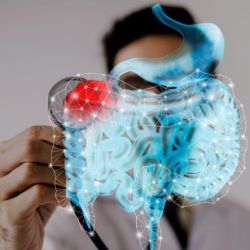 Microbiota e intestino. | Foto:Cedoc.