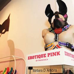 El auge de los Sex Shop se comprueba en la apertura de estas tiendas en todos los barrios de la Ciudad de Buenos Aires. | Foto:Cedoc