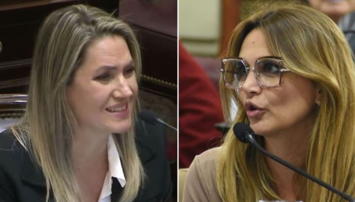 El picante cruce entre Carolina Losada y Amalia Granata en la red: "Agarrá la pala alguna vez"