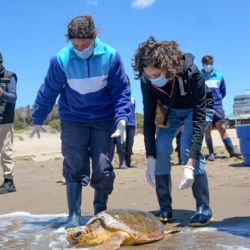 En el centro de rescate, empezó a expulsar distintos tipos de plásticos junto a su materia fecal,