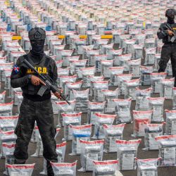 Miembros del cuerpo antidrogas hacen guardia junto a los paquetes de presunta droga en la Dirección Nacional de Control de Drogas (DNCD) luego de una incautación de 9,5 toneladas de presunta cocaína en Santo Domingo, República Dominicana. | Foto:FRANCESCO SPOTORNO / AFP