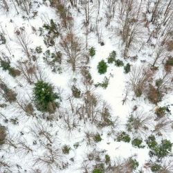 Vista aérea tomada con un dron del Parque Nacional Mavrovo cubierto por nieve, en Mavrovo, en Macedonia del Norte. | Foto:Xinhua/Tomislav Georgiev