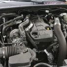 Ford Ranger Black