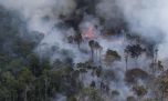 Incendios forestales: en lo que va del año, la Amazonia ya registró 136.512 focos de fuego