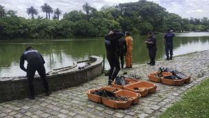 Un hombre presuntamente ebrio se arrojó a los lagos de Palermo 20241209