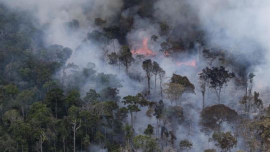 Incendios forestales: en lo que va del año, la Amazonia ya registró 136.512 focos de fuego