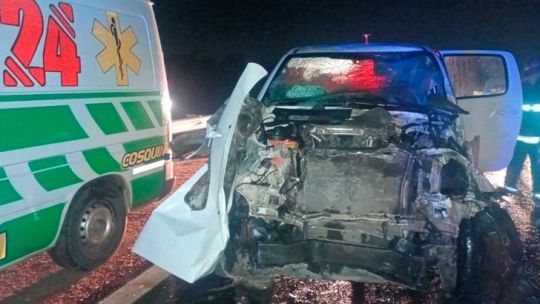 Graves accidentes con animales sueltos expusieron la inseguridad vial en la Autovía Punilla