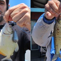 La cancha fue el extenso muelle de 800 metros de largo de la calle Viamonte que corre paralelo a la reserva ecológica, aunque solo su parte central fue utilizada por las 46 parejas.