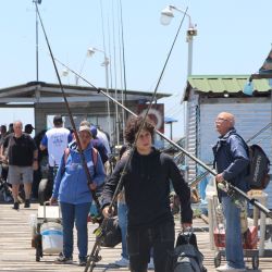 La cancha fue el extenso muelle de 800 metros de largo de la calle Viamonte que corre paralelo a la reserva ecológica, aunque solo su parte central fue utilizada por las 46 parejas.