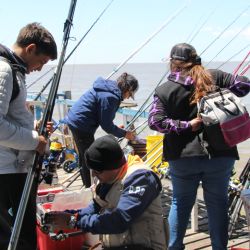 La cancha es un extenso muelle de 800 metros de largo de la calle Viamonte que corre paralelo a la reserva ecológica, aunque solo su parte central es utilizada normalmente en estas competencias.