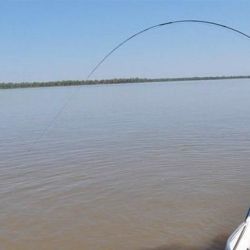 Con el fin de preservar y mantener una población estable de peces en ríos y lagos de la provincia, la Dirección General de Bosques y Fauna resolvió poner en marcha la veda total.