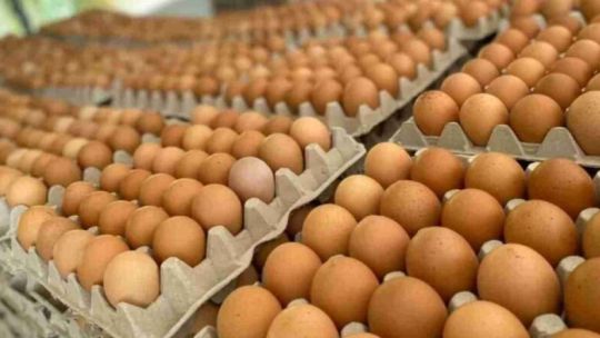 Contrabando de huevos: un riesgo serio para la salud.
