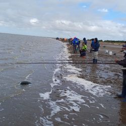 La prueba congregó a más de un centenar de aficionados que representaban a entidades afiliadas de Mar del Plata, Lobería, Tandil, Junín, Tres Arroyos, Berisso, Villa Gesell, Pinamar y Olavarría, entre otras ciudades. 