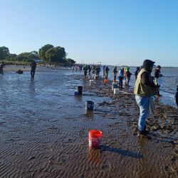 La prueba congregó a más de un centenar de aficionados que representaban a entidades afiliadas de Mar del Plata, Lobería, Tandil, Junín, Tres Arroyos, Berisso, Villa Gesell, Pinamar y Olavarría, entre otras ciudades. 