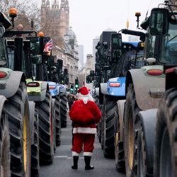 Una persona vestida de Papá Noel camina entre tractores estacionados a lo largo de Whitehall durante una manifestación para detener "la muerte de la agricultura británica", en protesta contra los cambios en las reglas del impuesto a la herencia para la propiedad de la tierra de los agricultores, en el centro de Londres. | Foto:BENJAMIN CREMEL / AFP