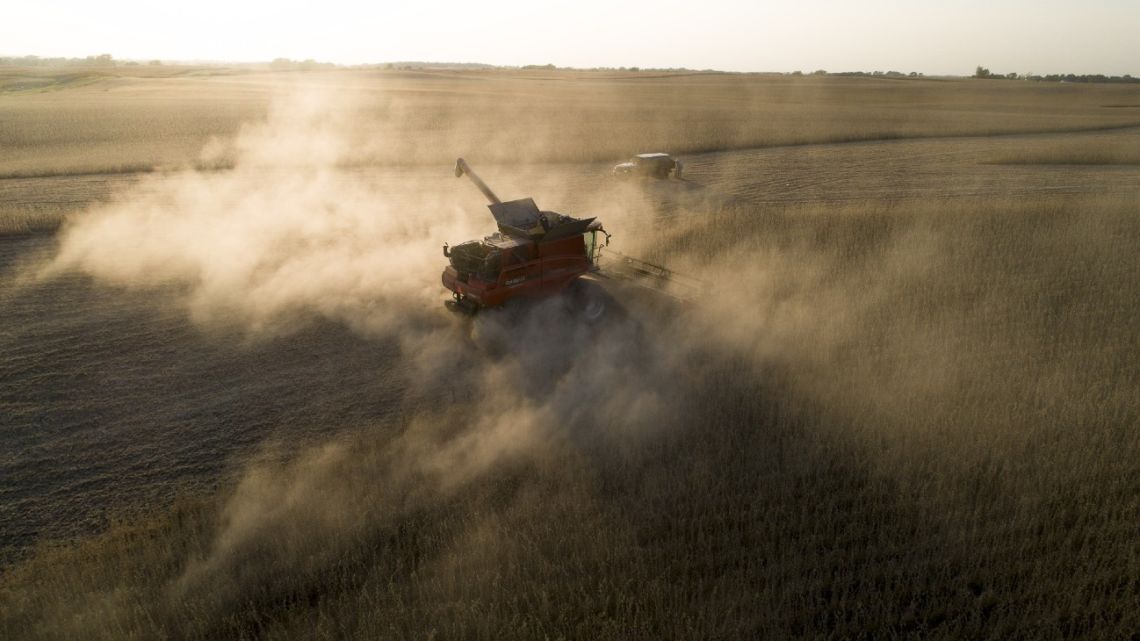 Soybeans being harvested in Wyanet, Illinois